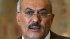 Yemen ruling party accepts Gulf plan for Saleh's exit