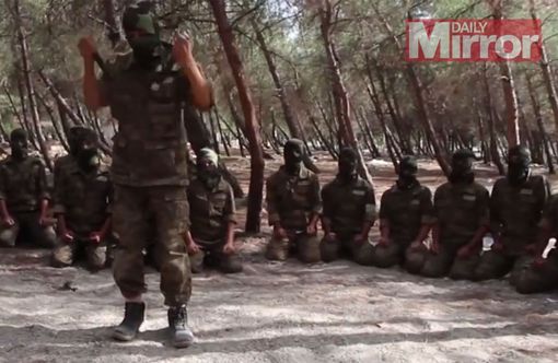 Targeted: ISIS training camps have been hit