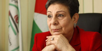 Click on image to see full-sized version ashrawi2pnn.jpg